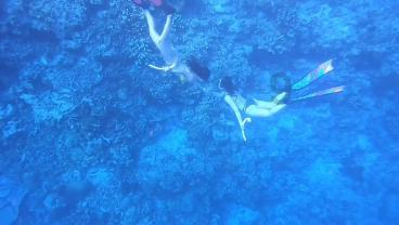 社交能力高、情商高的星座有哪些？他们是否容易受职场青睐？游戏画面